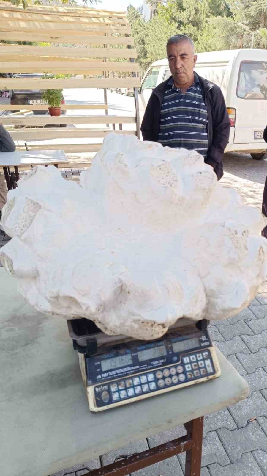 Konya’da 19 Kiloluk Dev Mantar Bulundu