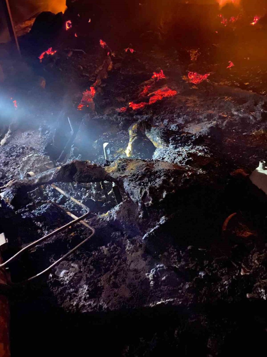 Ahırda Yangınında 1 Buzağı Telef Oldu