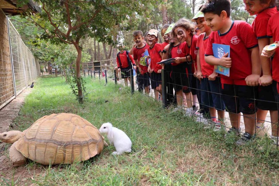 Çocuklar Tedavisi Tamamlanan Güvercinleri Doğaya Saldı