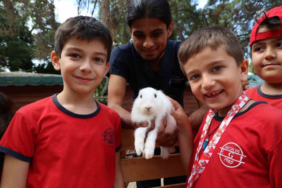 Çocuklar Tedavisi Tamamlanan Güvercinleri Doğaya Saldı