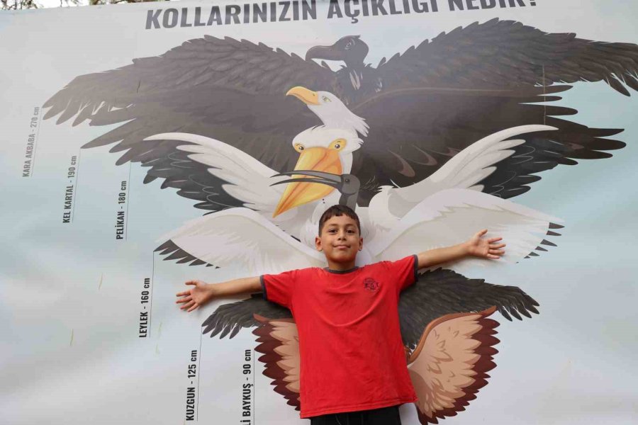 Çocuklar Tedavisi Tamamlanan Güvercinleri Doğaya Saldı