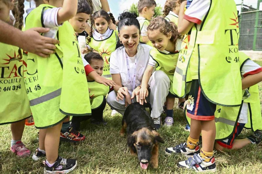 Muratpaşa’da Çocuklar Patili Dostlarıyla Buluştu