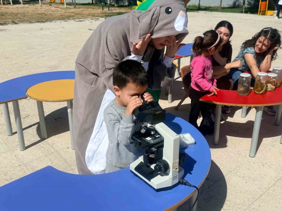 Nöhü’den Hayvanları Koruma Günü Etkinliği