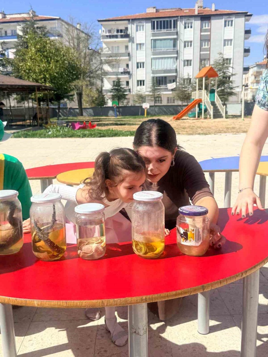 Nöhü’den Hayvanları Koruma Günü Etkinliği