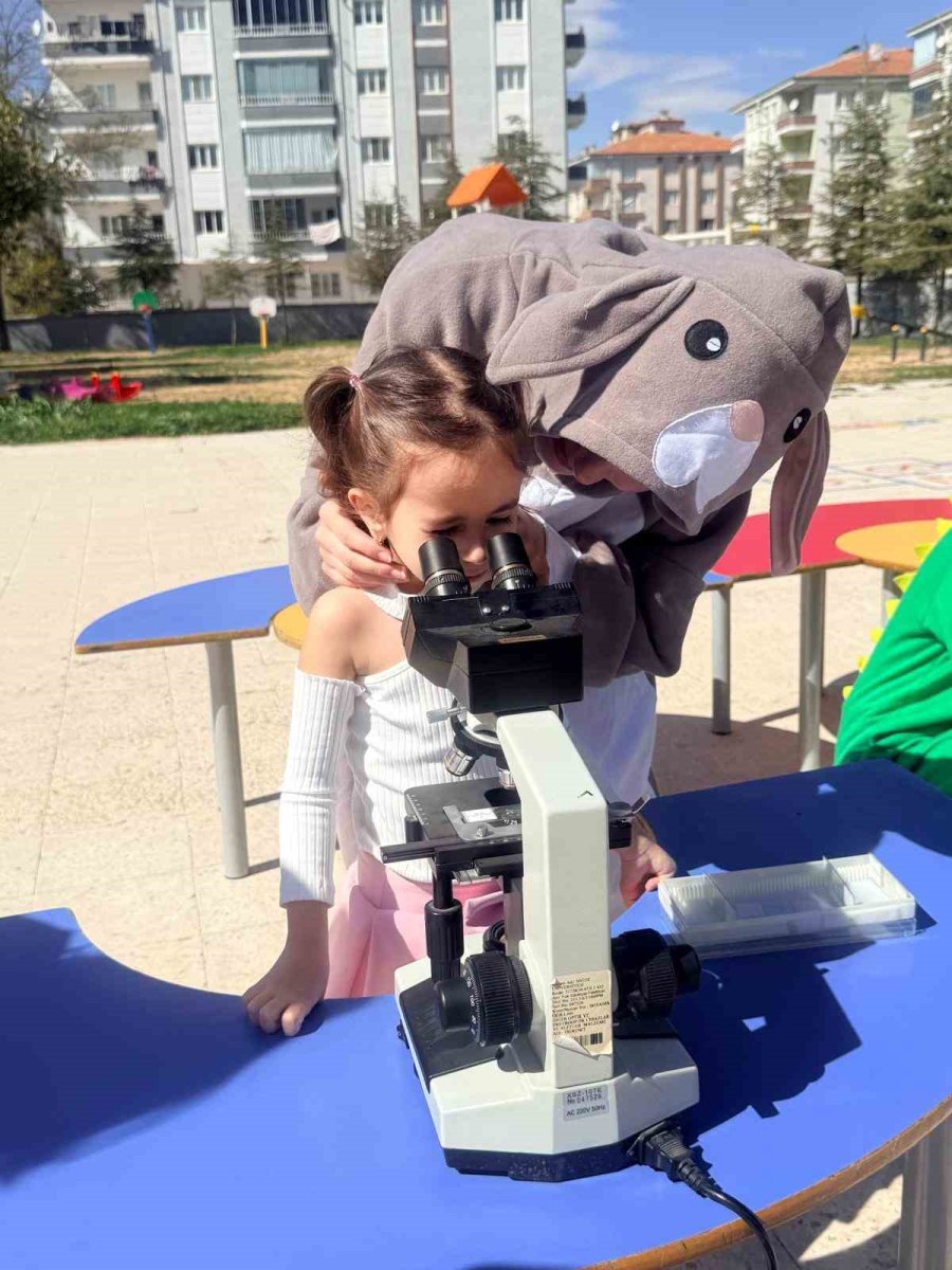 Nöhü’den Hayvanları Koruma Günü Etkinliği