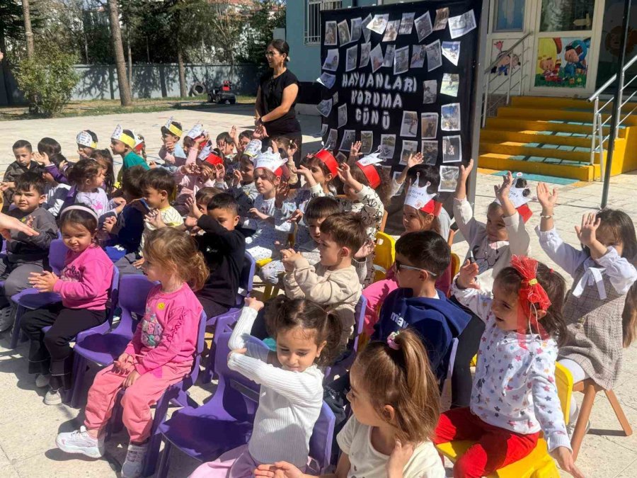 Nöhü’den Hayvanları Koruma Günü Etkinliği