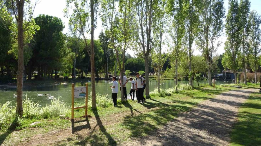 Antalya’ya Yeşil Bayrak Onuru: Atatürk Kültür Parkı Uluslararası Ödüle Layık Görüldü