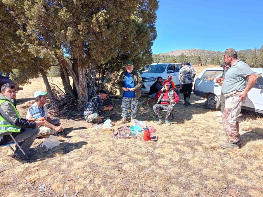 Hüyük’te Yaban Domuzları İçin Sürek Avı Yapıldı