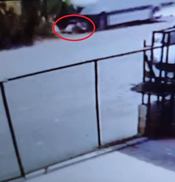 Antalya’da 9 Yaşındaki Aslı’nın Okul Servisinin Altında Kaldığı Kazanın Görüntüsü Ortaya Çıktı