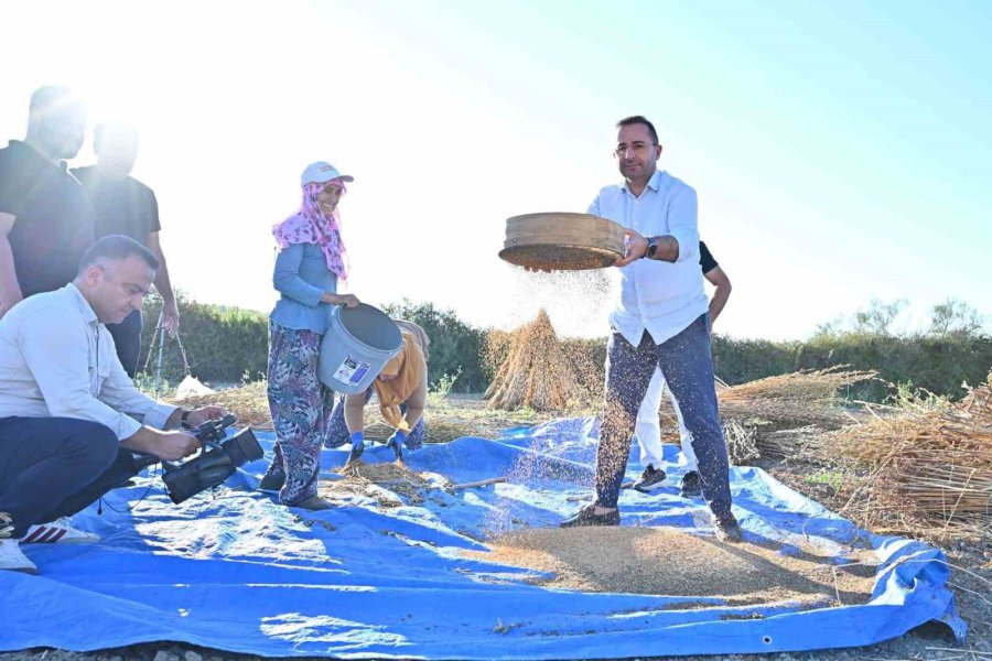 Başkan Güngör: "manavgat’ın Coğrafi İşaret Tescilli ’altın Susamı’, Türkiye’nin En Kaliteli Susamı Olarak Öne Çıkıyor"