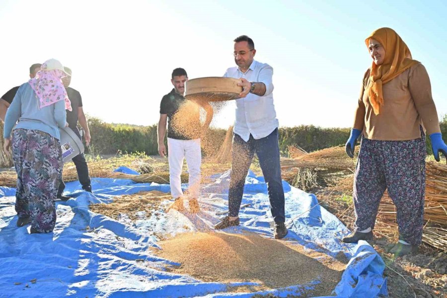 Başkan Güngör: "manavgat’ın Coğrafi İşaret Tescilli ’altın Susamı’, Türkiye’nin En Kaliteli Susamı Olarak Öne Çıkıyor"