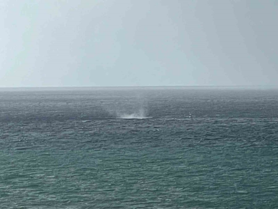 Alanya Açıklarında Oluşan Hortum Korkuttu