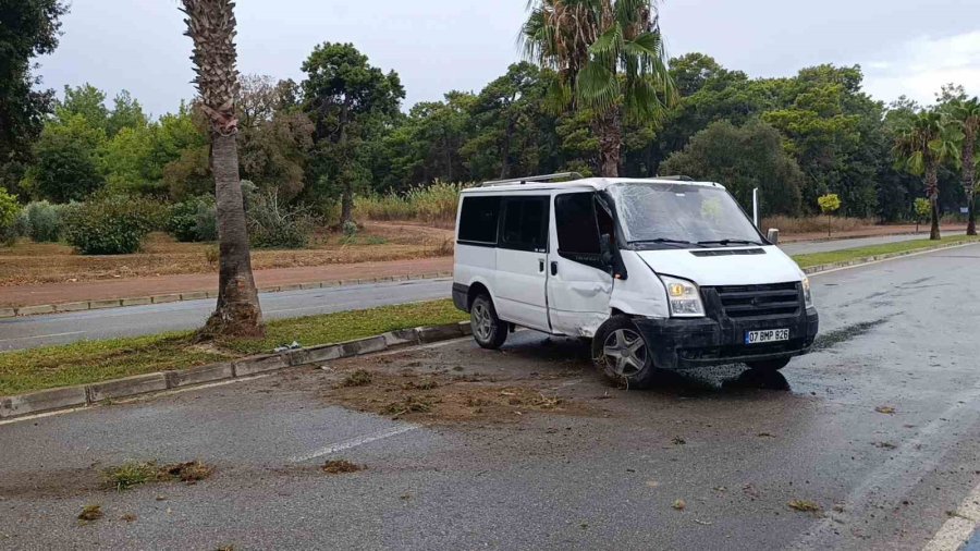 Kontrolden Çıkan Kamyonet Palmiye Ağacına Çarptı: Kaza Anı Kamerada