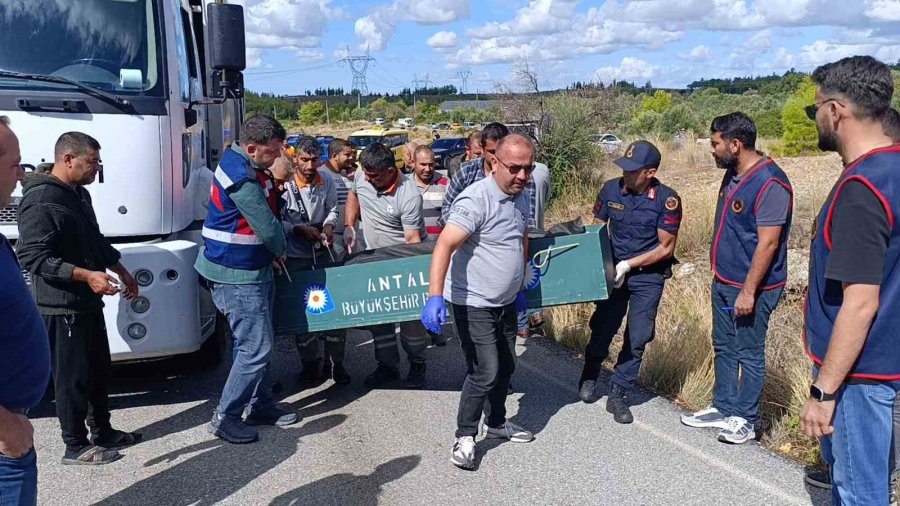 Antalya’da Çöp Kamyonunda Korkunç Cinayet: Mesai Arkadaşını Boğazından Bıçaklayarak Öldürdü