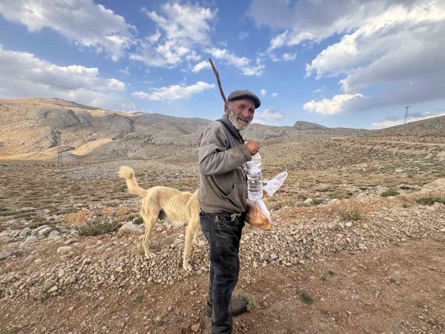 Antalya’da Yörüklerin 4 Aydır Kaldıkları Yaylalardan Dönüşleri Başladı