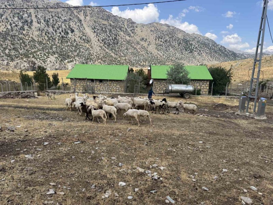 Antalya’da Yörüklerin 4 Aydır Kaldıkları Yaylalardan Dönüşleri Başladı