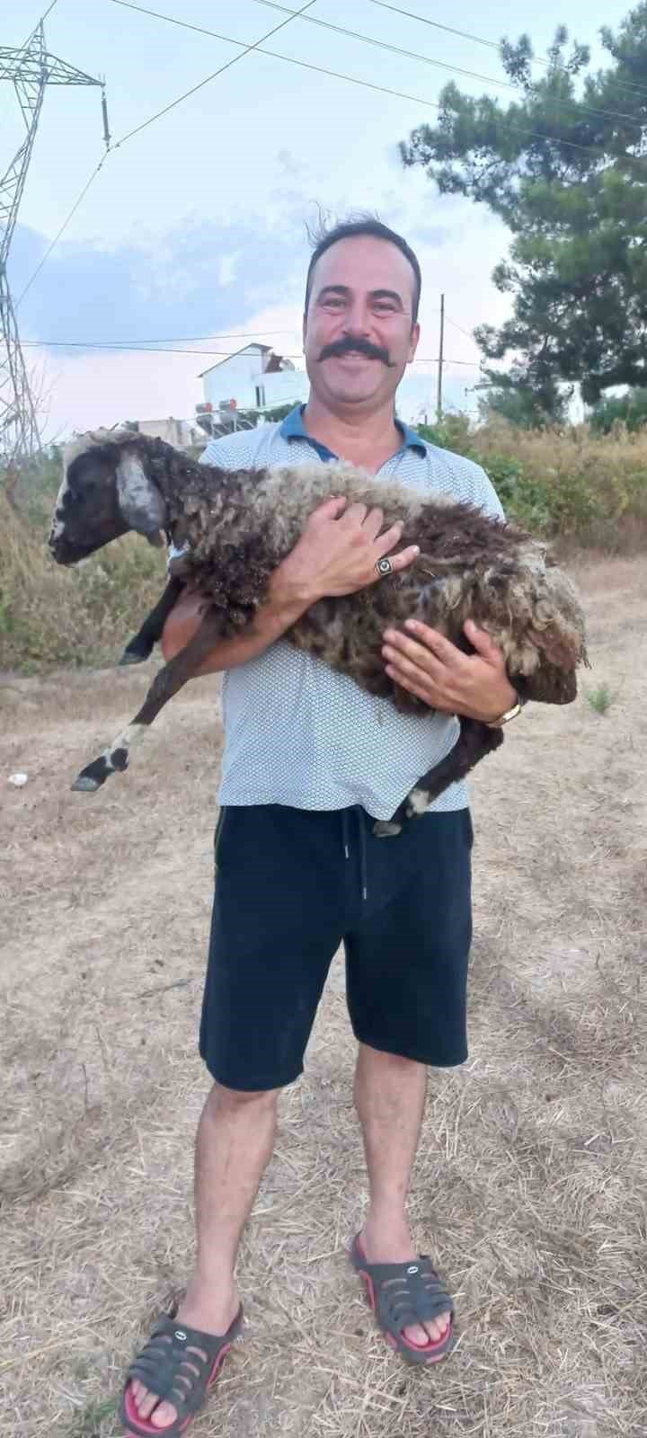 Antalya’da Çöp Kamyonunda Korkunç Cinayet: Mesai Arkadaşını Boğazından Bıçaklayarak Öldürdü