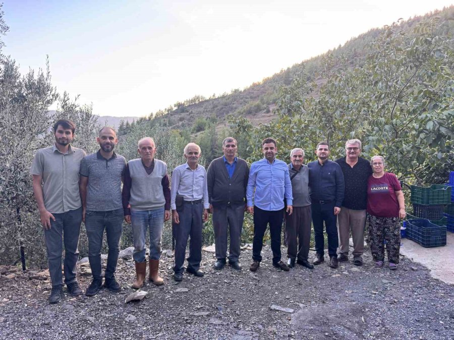 Antalya’da Coğrafi İşaretli Çekirdeksiz Narın Hasadı Başladı