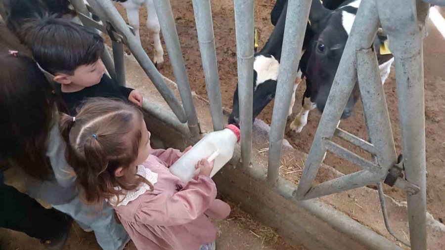 Minik Öğrenciler Dünya Yumurta Günü’nde Sağlıklı Beslenmeyi Öğrendi