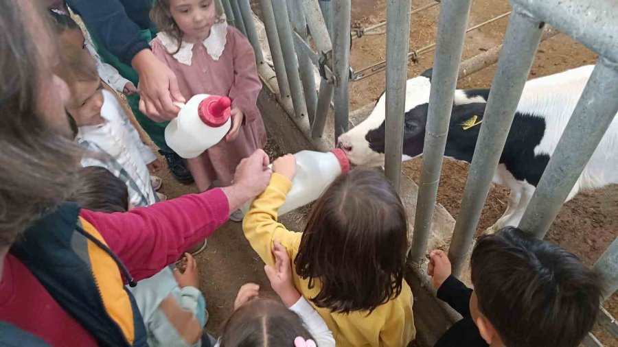 Minik Öğrenciler Dünya Yumurta Günü’nde Sağlıklı Beslenmeyi Öğrendi