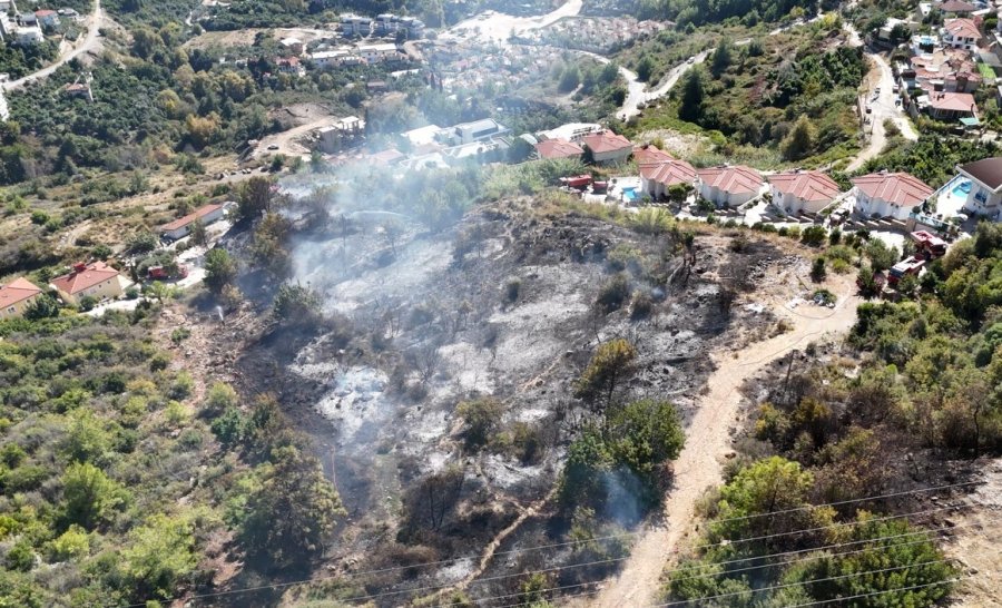 Alanya’da Yerleşim Alanlarını Tehdit Eden Yangın Korkuttu