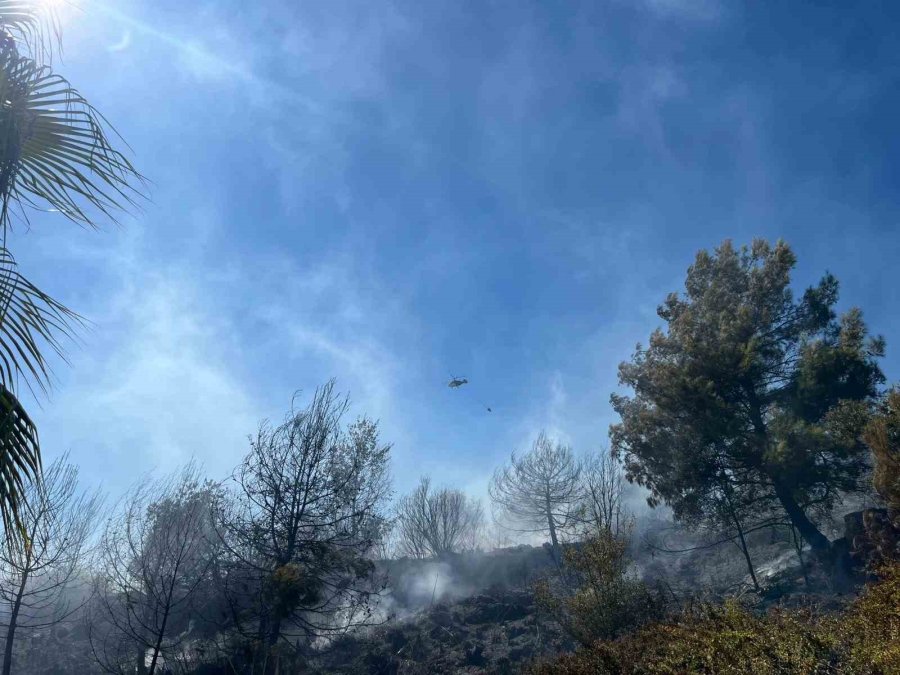 Alanya’da Yerleşim Alanlarını Tehdit Eden Yangın Korkuttu