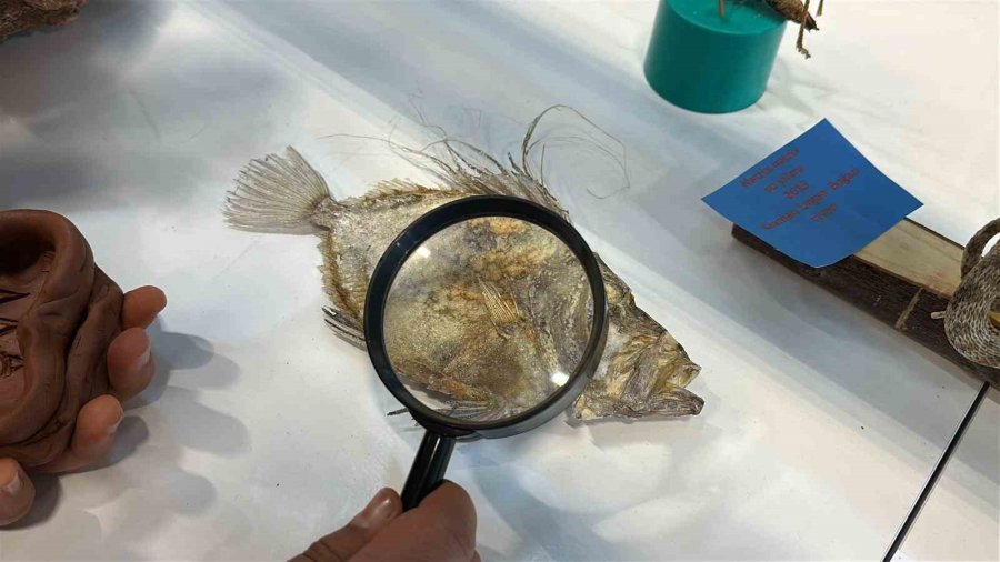 Ailesiyle Birlikte Topladığı 5 Bine Yakın Fosille Müze Kurdu