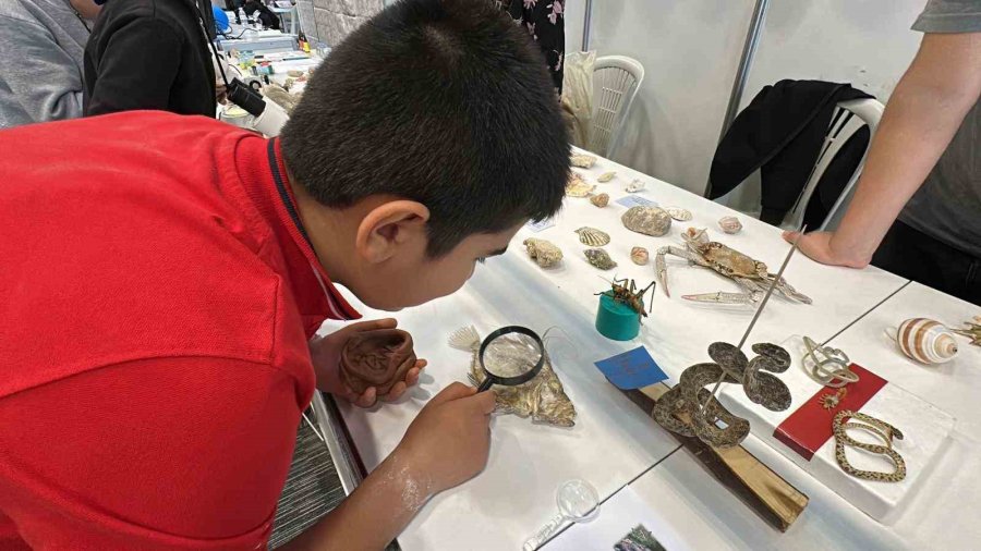 Ailesiyle Birlikte Topladığı 5 Bine Yakın Fosille Müze Kurdu