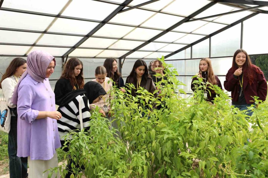 Karatay Tabiat Mektebi, Erasmus Programında Uluslararası Öğrencileri Ağırladı