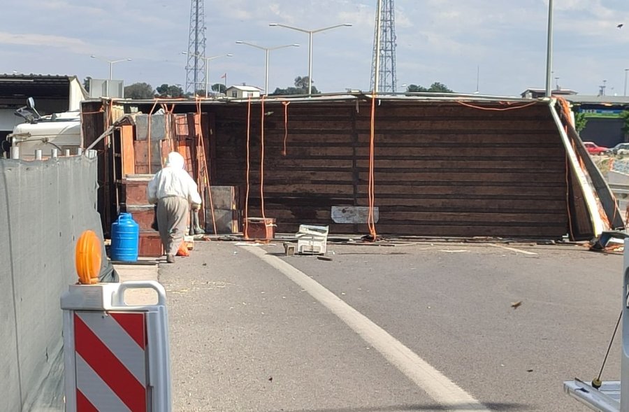 Otoyol Çıkışında Kamyon Kaza Yaptı, Binlerce Arı Çevreye Yayıldı: 3 Yaralı