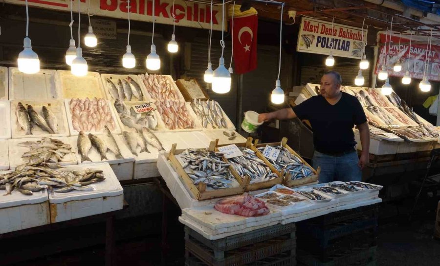 Balıkta Bolluk Yaşanıyor, Fiyatlar Kasım Sonuna Kadar Uygun