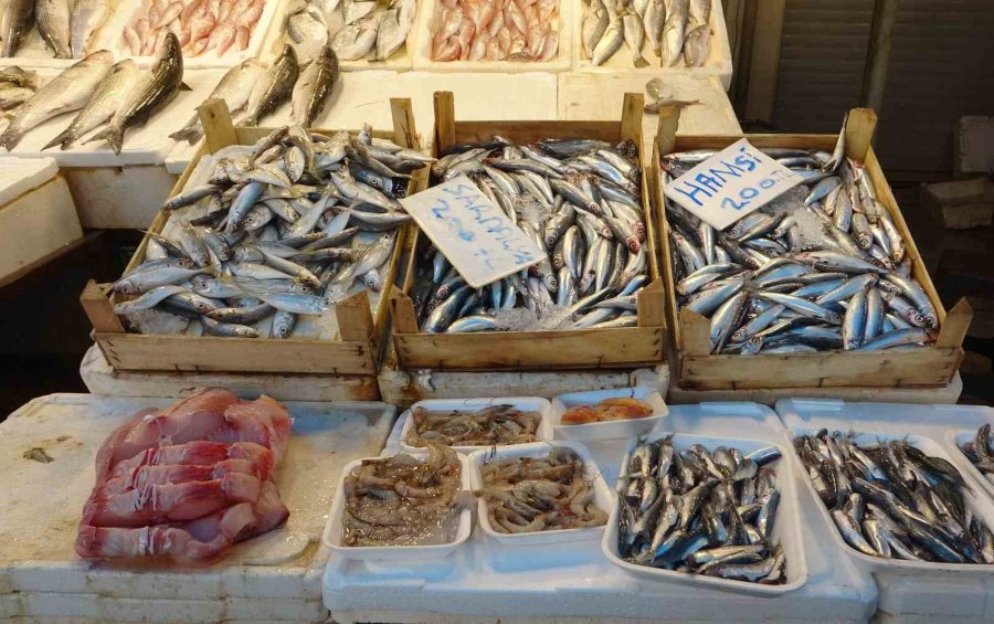 Balıkta Bolluk Yaşanıyor, Fiyatlar Kasım Sonuna Kadar Uygun