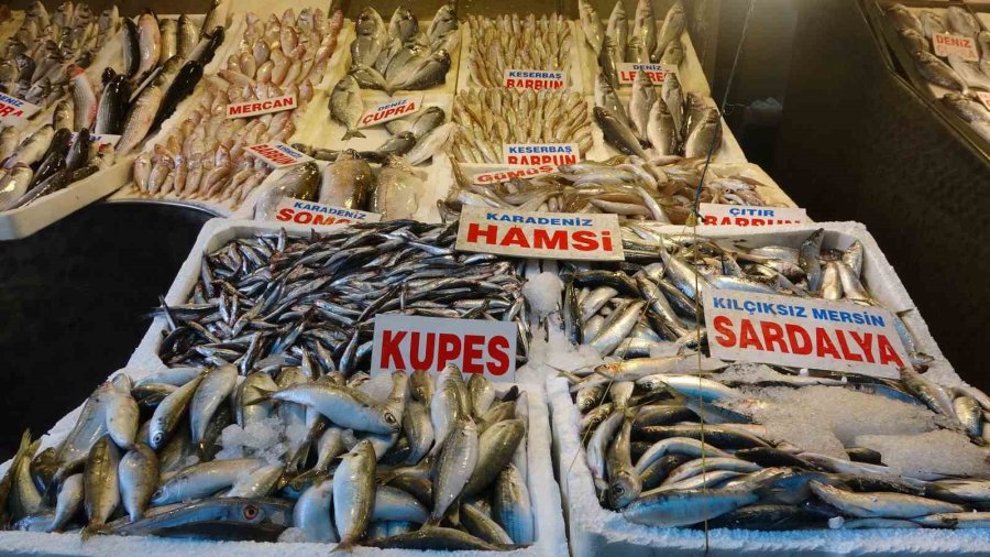 Balıkta Bolluk Yaşanıyor, Fiyatlar Kasım Sonuna Kadar Uygun