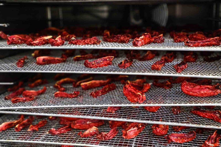 Antalya’da Kadın Kooperatiflerinde Kış Hazırlığı Başladı