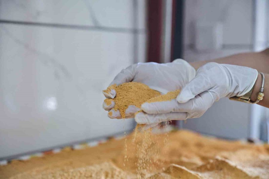 Antalya’da Kadın Kooperatiflerinde Kış Hazırlığı Başladı