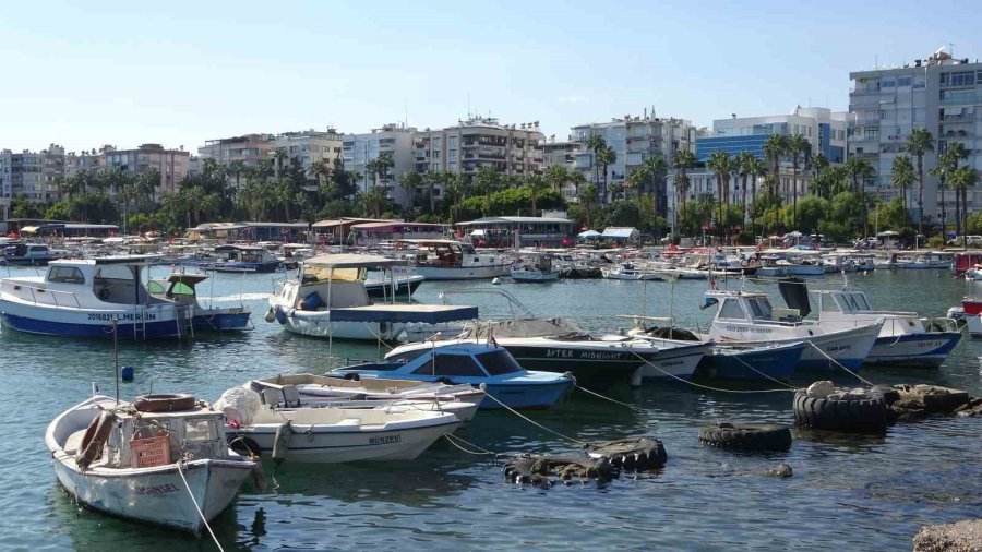 Balıkta Bolluk Yaşanıyor, Fiyatlar Kasım Sonuna Kadar Uygun