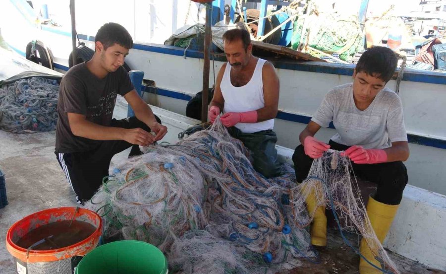 Balıkta Bolluk Yaşanıyor, Fiyatlar Kasım Sonuna Kadar Uygun