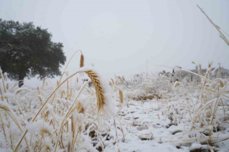 Niğde’nin Yüksek Kesimlerine Mevsimin İlk Karı Yağdı