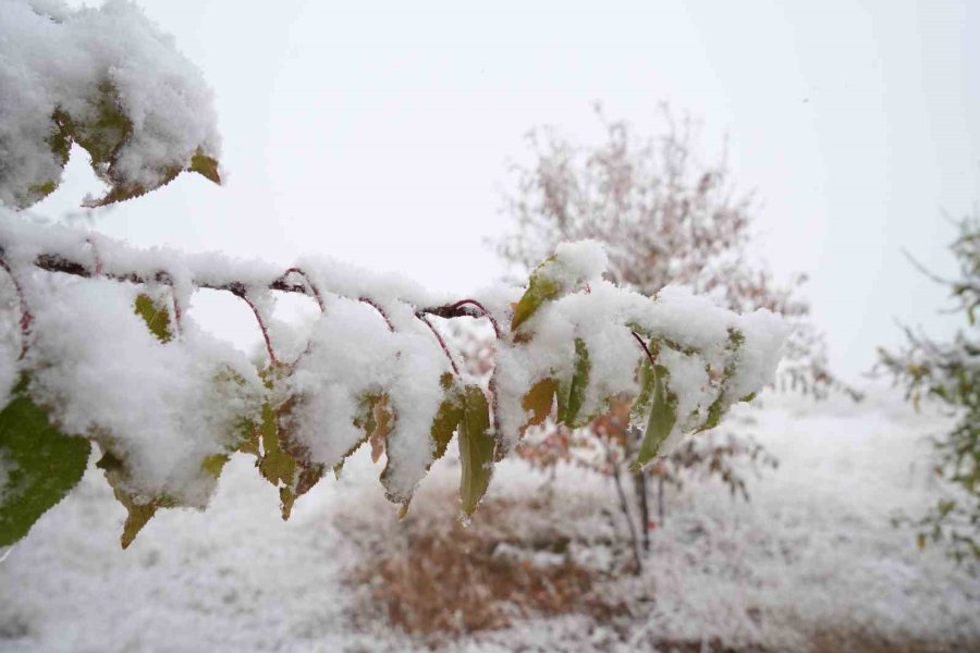 Niğde’nin Yüksek Kesimlerine Mevsimin İlk Karı Yağdı