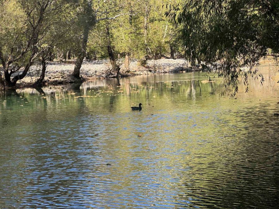 Antalya’da Yazın Tamamen Kuruyan Üzümdere Irmağı Yağışlarla Yeniden Suya Kavuştu