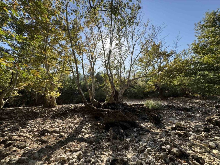Antalya’da Yazın Tamamen Kuruyan Üzümdere Irmağı Yağışlarla Yeniden Suya Kavuştu