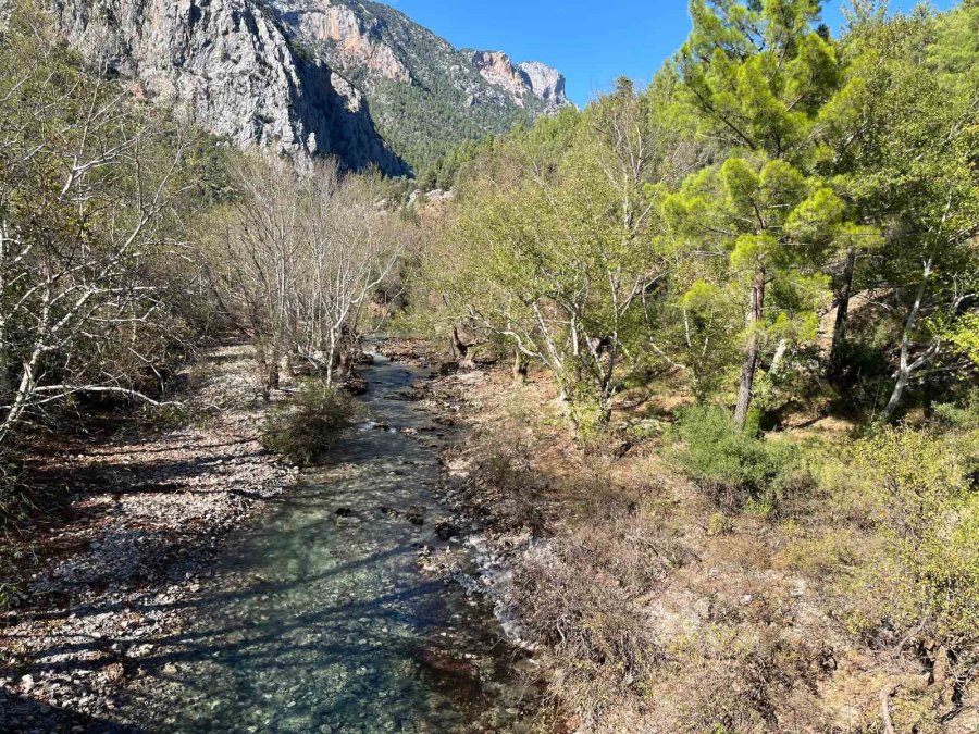 Antalya’da Yazın Tamamen Kuruyan Üzümdere Irmağı Yağışlarla Yeniden Suya Kavuştu