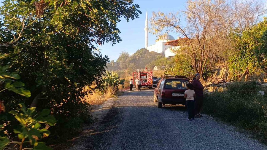 Yangında Ev Küle Döndü, Tek Teselli Kurtarılan Muhabbet Kuşları Oldu