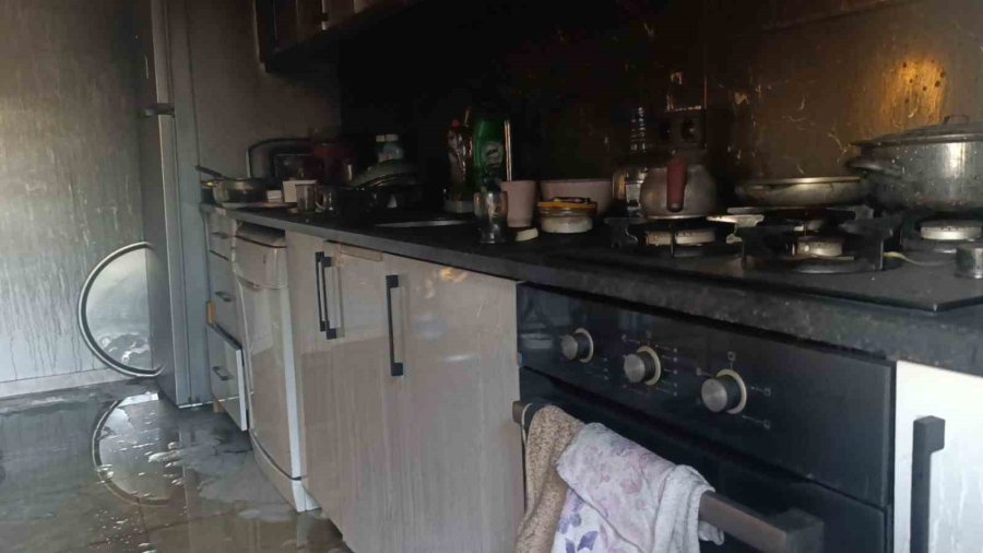 Yangında Ev Küle Döndü, Tek Teselli Kurtarılan Muhabbet Kuşları Oldu