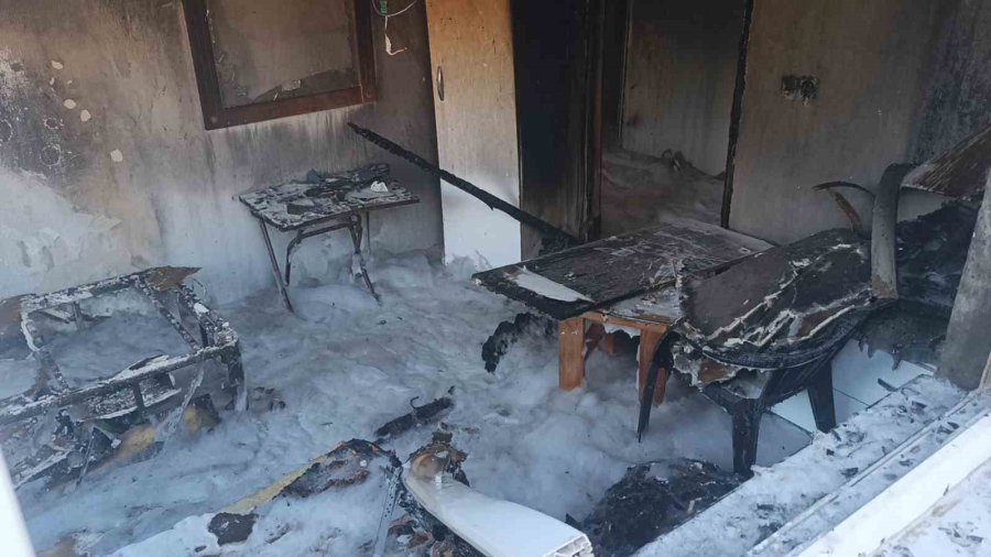 Yangında Ev Küle Döndü, Tek Teselli Kurtarılan Muhabbet Kuşları Oldu