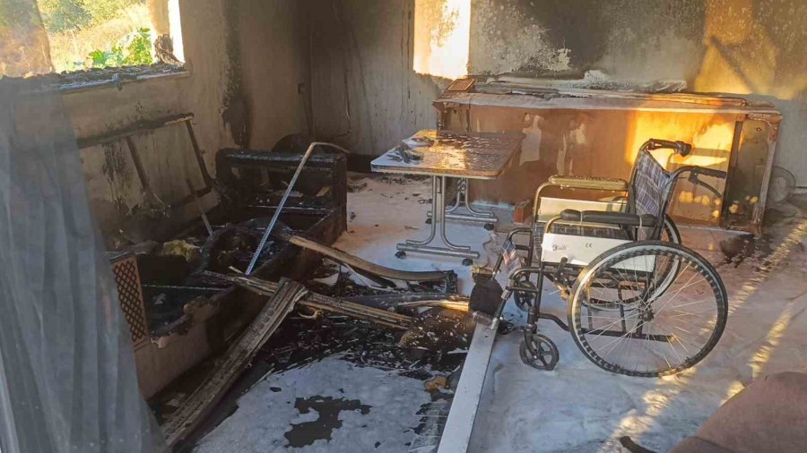 Yangında Ev Küle Döndü, Tek Teselli Kurtarılan Muhabbet Kuşları Oldu