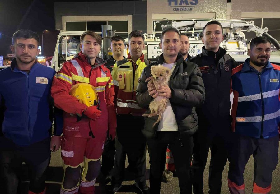 Konya Büyükşehir Ekiplerinden Köpek Kurtarma Operasyonu