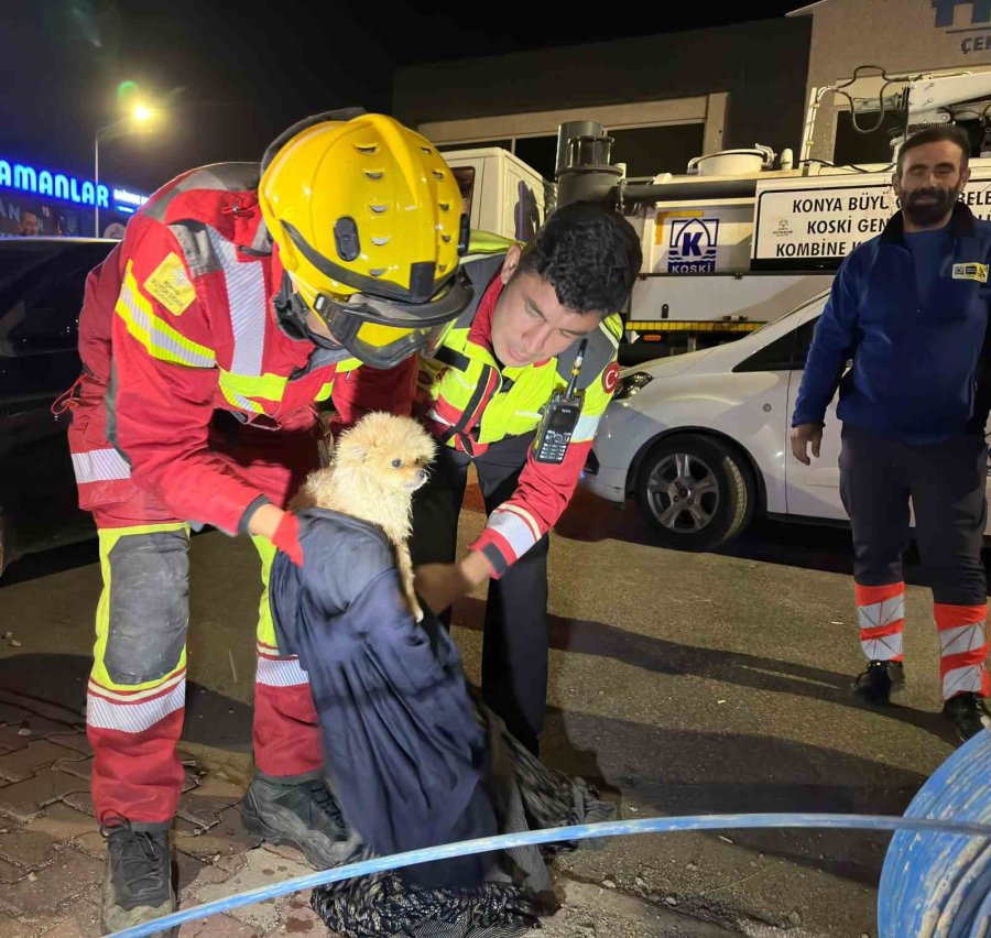 Konya Büyükşehir Ekiplerinden Köpek Kurtarma Operasyonu