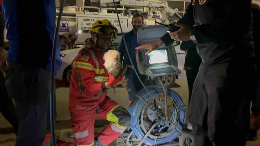 Konya Büyükşehir Ekiplerinden Köpek Kurtarma Operasyonu