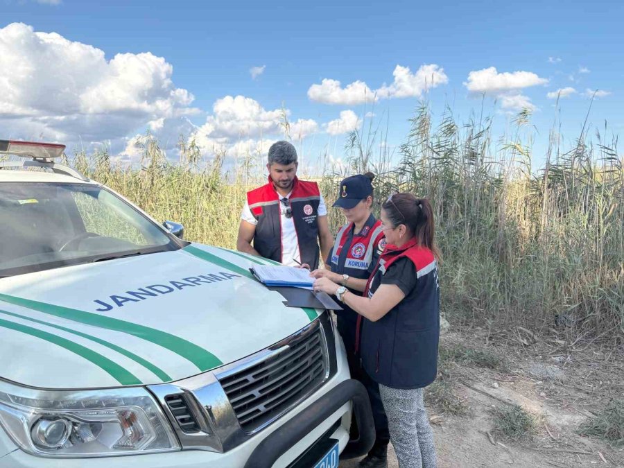 Göksu Deltası’nda Mavi Yengeç Avcıları Yakalandı